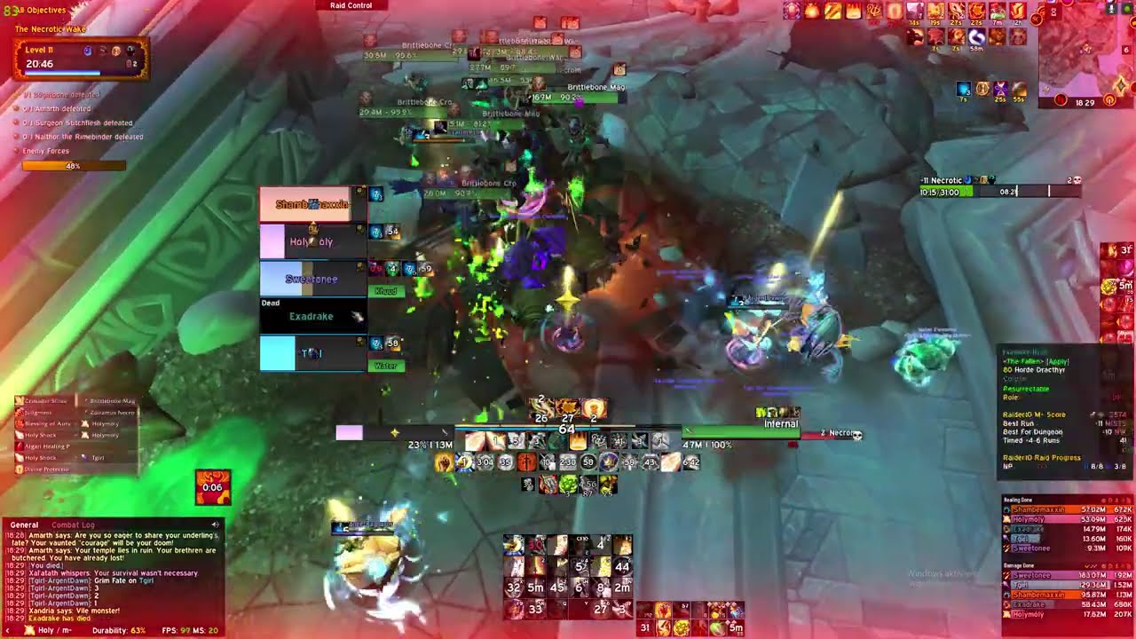 +11  The Necrotic Wake | TWW Season 1 | HolyPala POV