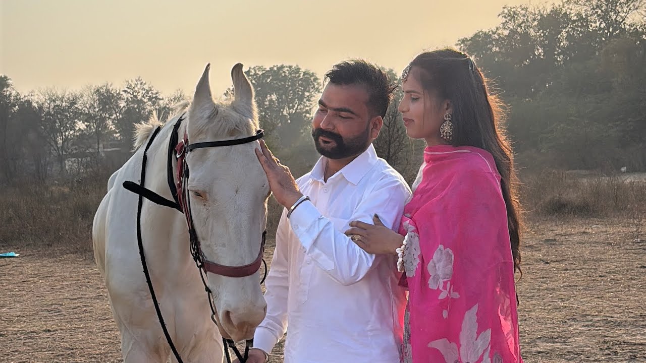 A Beautiful pre wedding Harpreet weds Ramanpreet by Happy Photography 88378-68343(Punjab)(Canada)
