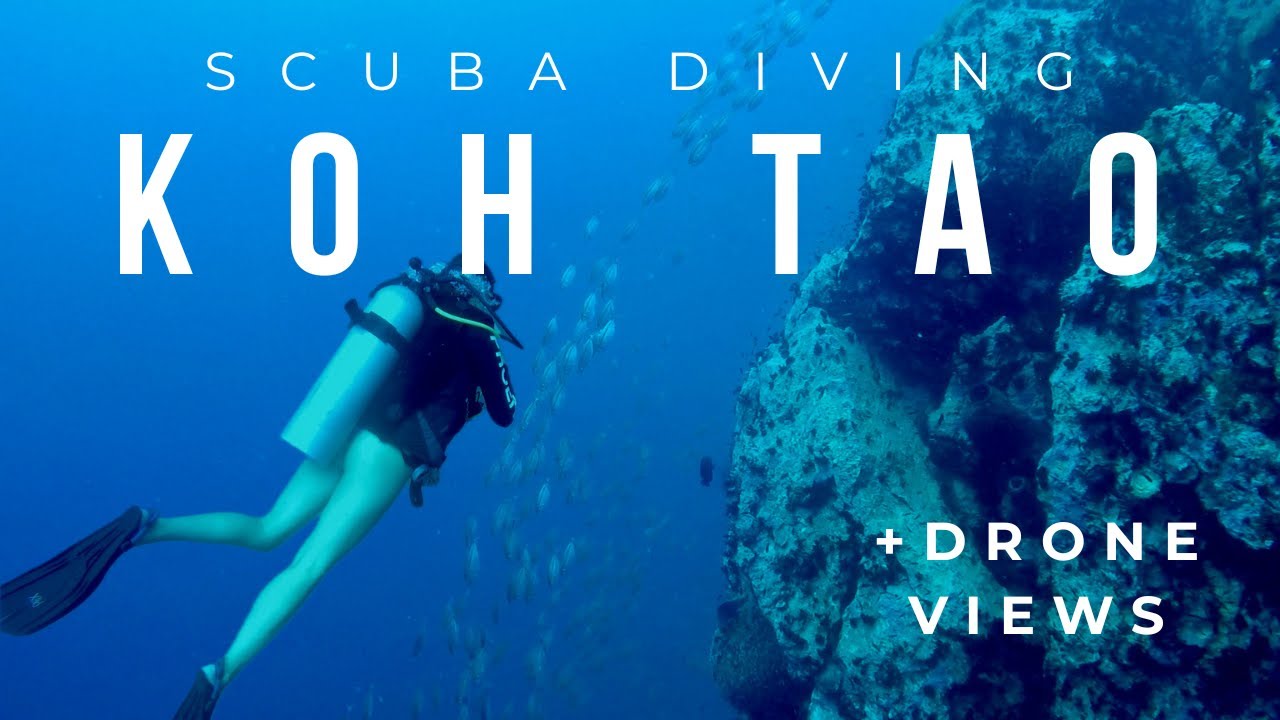 Scuba Diving in Koh Tao Thailand | Crystal Clear Water & Stunning Beaches