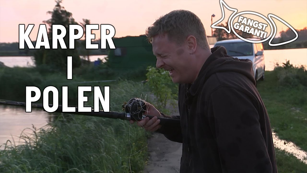 POLEN 2 // FANGSTGARANTI