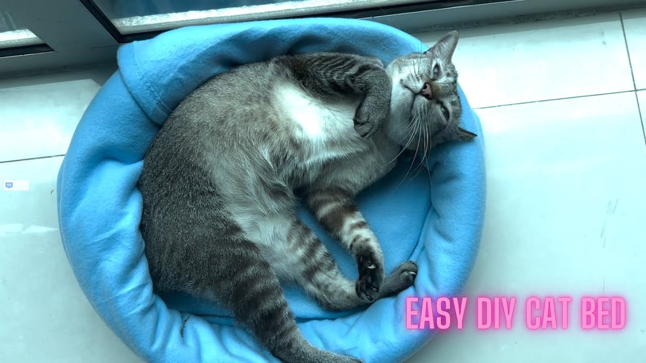 EASY DIY CAT BED USING BLANKET