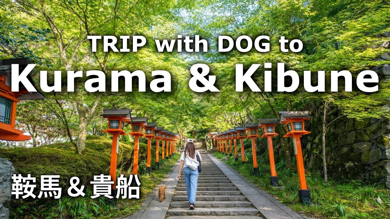 Kurama & Kibune TRIP with my DOG | Kuramadera Temple, Kifune Shrine, Kawadoko | Kyoto's Hidden Gems
