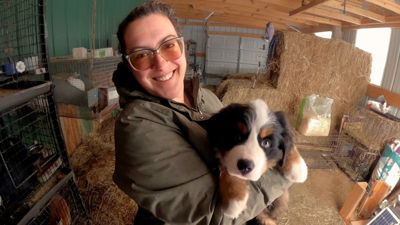 Bouncing Baby Goat & NEW PUPPY! (Cuteness Overload) | Farm Life VLOG