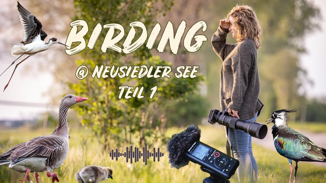 BirdExperience 2024 | Wildlifetour im Vogelparadies - Folge 1 (+Vorstellung/Aktion: OMSystem LS-P5)