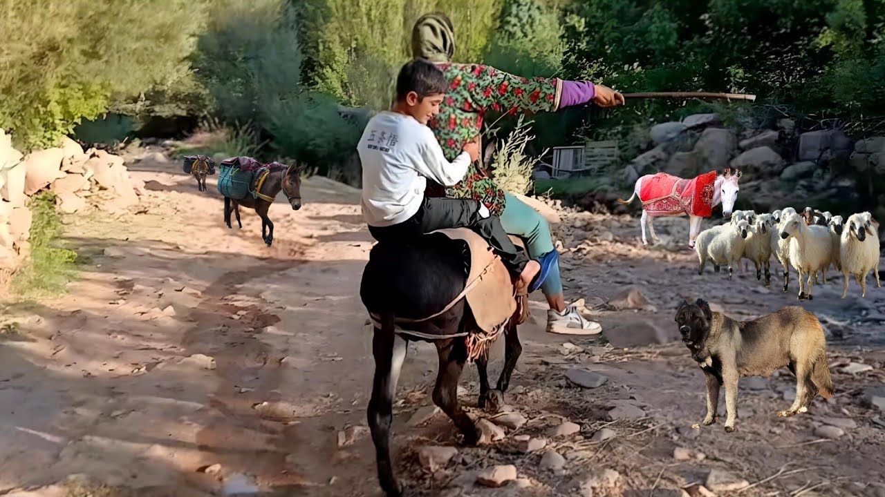 Double Donkey Ride with a Playful Kid _ You Won’t Believe How It Ends.