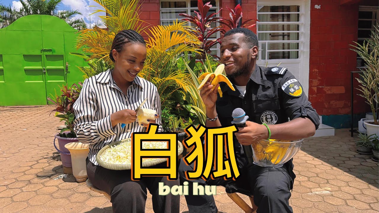 外国人重新演绎《白狐》，带来全新感觉 Bai hu cover