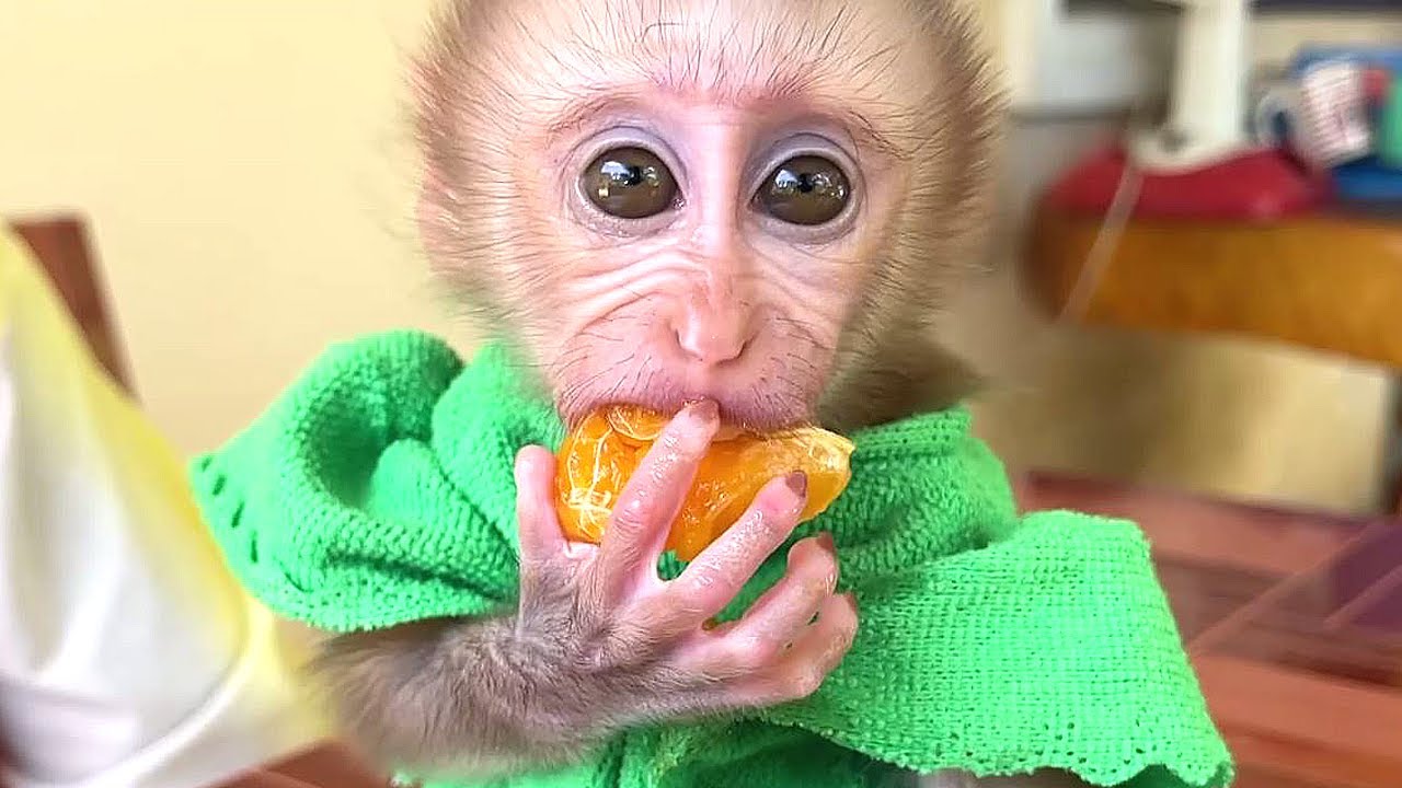 Small Baby Jessa Exudes Naturalness Cute Surprising