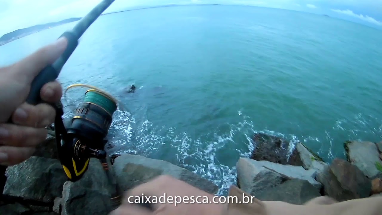 Pescando a isca e depois o peixe espada em Laguna