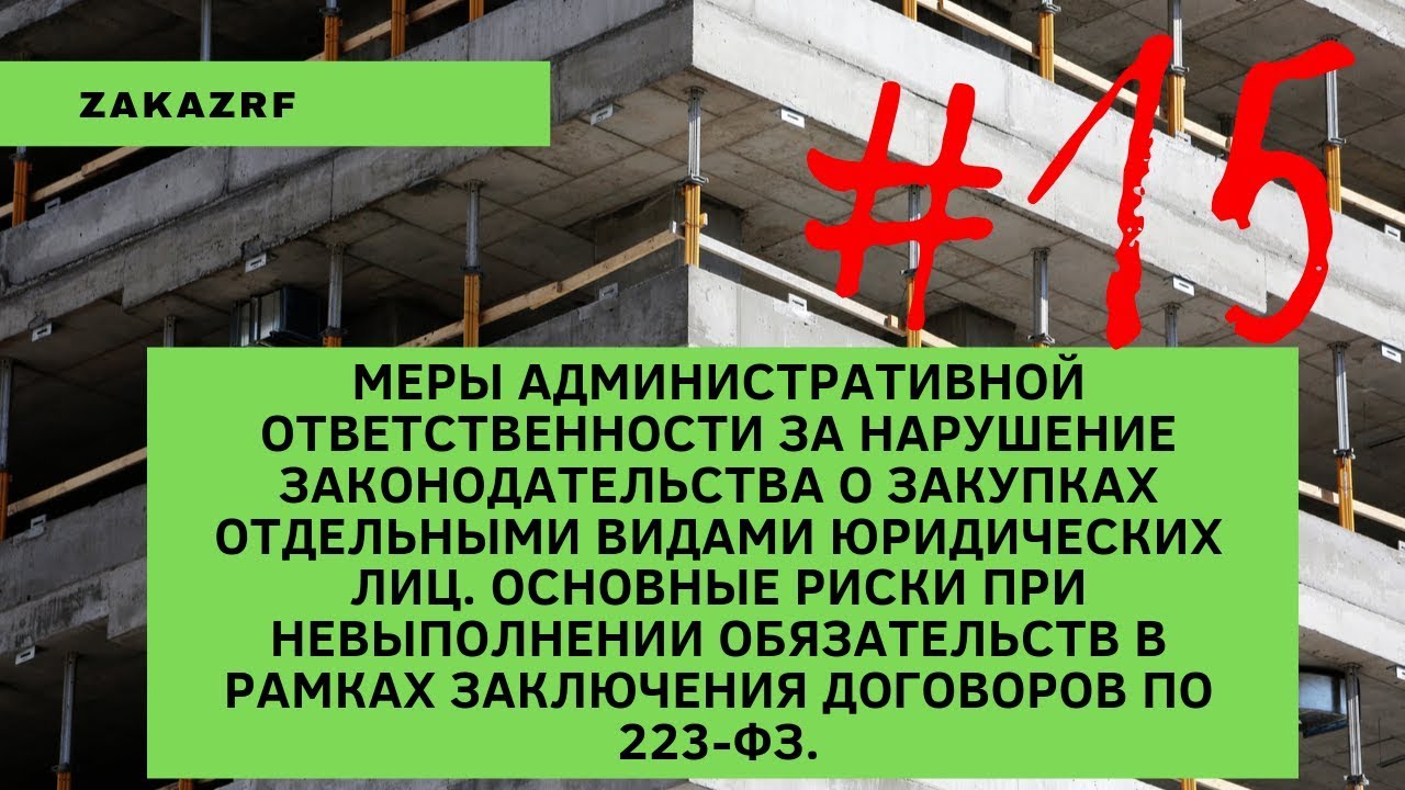 Меры административной ответственности /  Основные риски при невыполнении обязательств 223-ФЗ