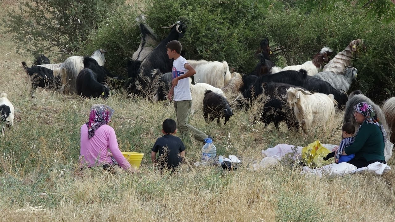Avdan Mahallesi , Mavi  2017, 2018 4K