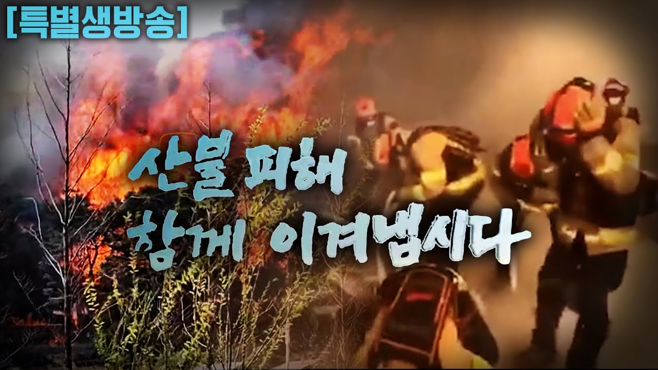 [특별 생방송] 산불 피해 함께 이겨냅시다 2부 ㅣ KBS 2025.03.31 Live 🔴