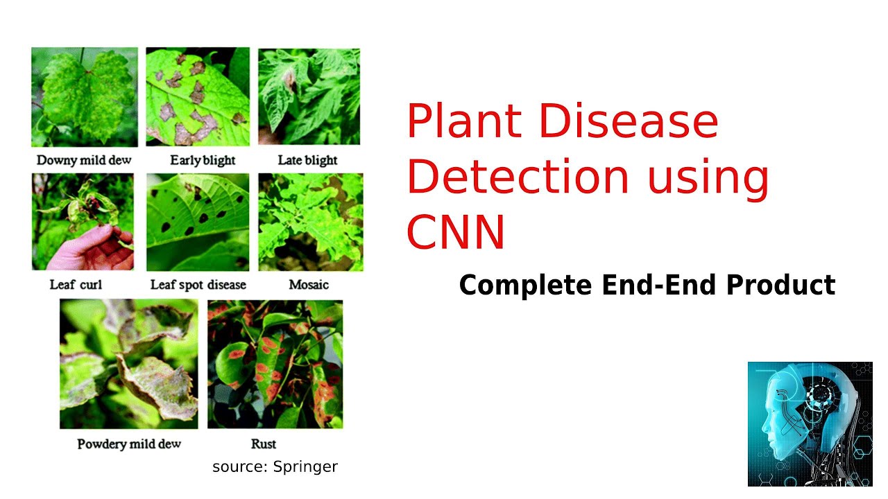 plant disease detection using CNN