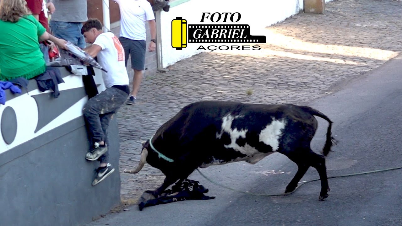 Tourada à Corda Lameirinha Sanjoaninas 29-06-2024 AÇORES
