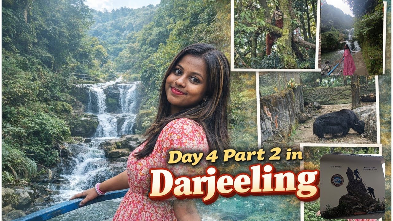 || Part 2 of Darjeeling day-4 ll Rock Garden, Padmaja Naidu Himalayan Zoological Park. 