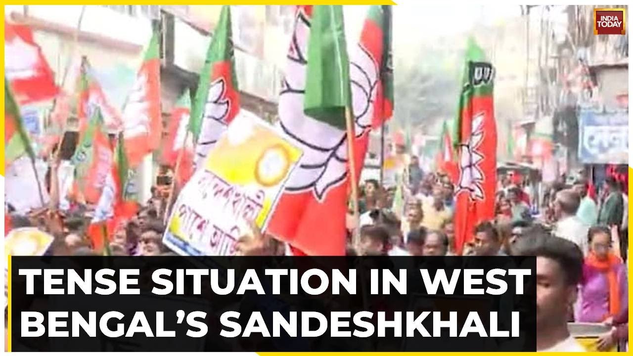 BJP Workers Clash With Police In Bengal's Sandeshkhali, Cops Resort To Lathicharge