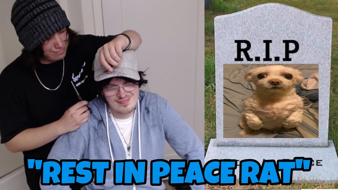 BadBoyHalo & Quackity Plays Rat’s Favourite Songs For Her Passing