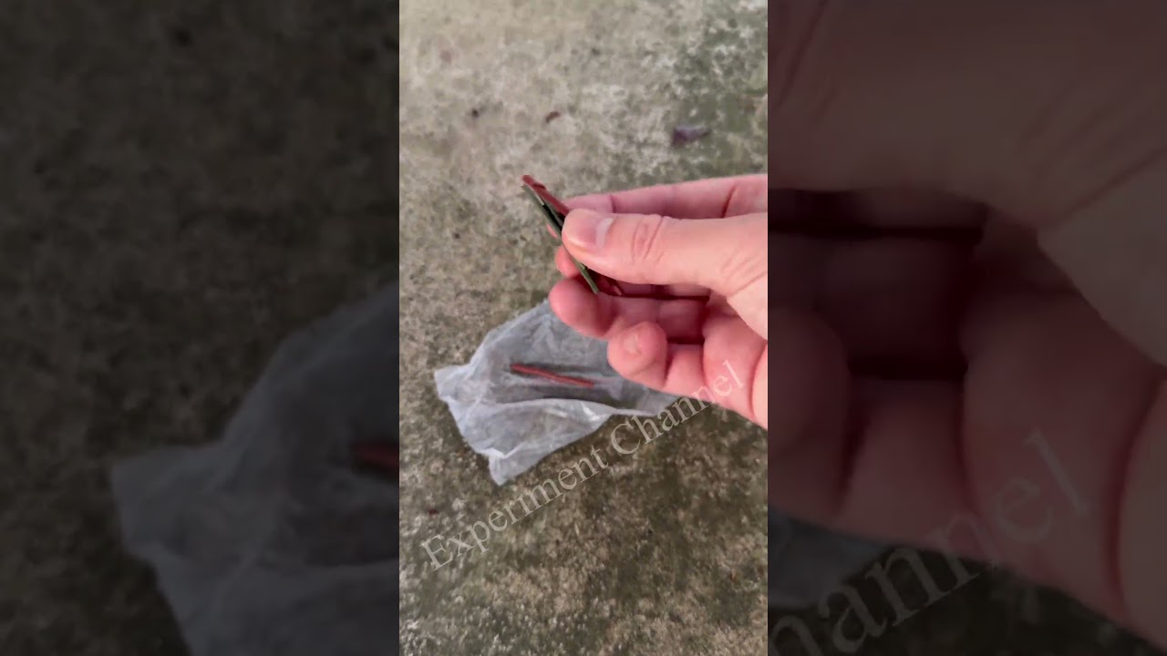 fuse-less Cracking cracker #shorts #cracker #diy #firework #trick #lifehack