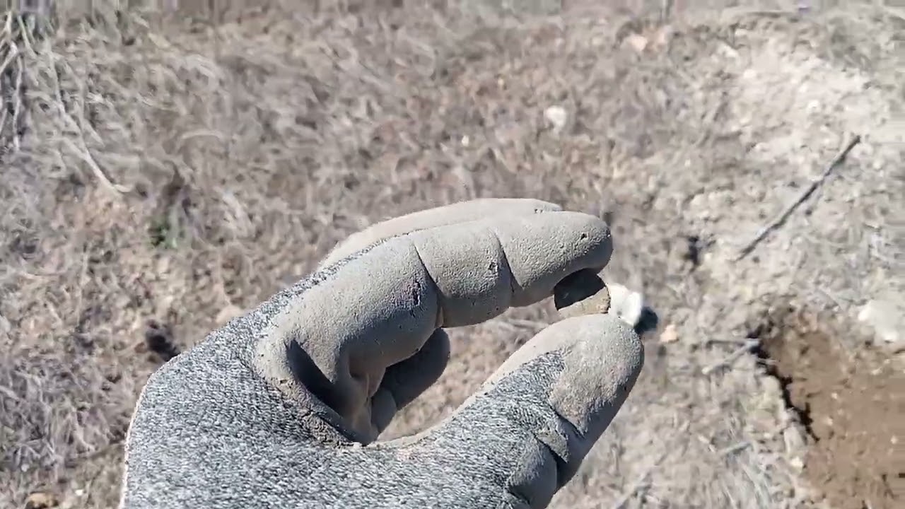 TEKTEK PARA TOPLAMA SEZONU ACILDI.... #metaldetecting  #treasuresearch  #atrex