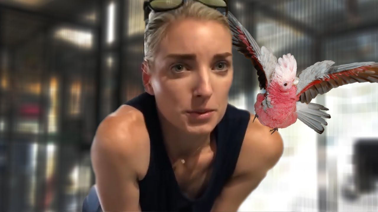 My Cockatoo Bandit Gets MAD at ME! | Watch Me Work Through it in 2 MINUTES
