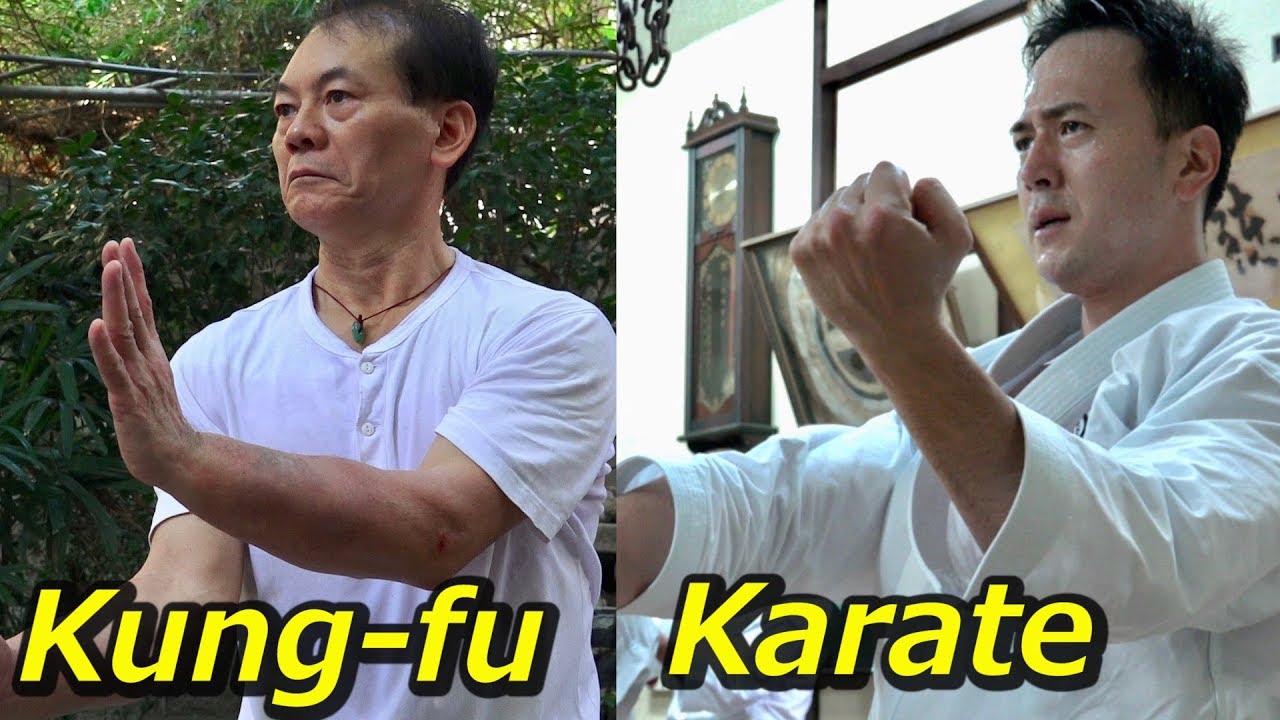 時を超える？中国武術と空手に同じ型があった！Time travel? Same Kata in Karate and Kungfu!