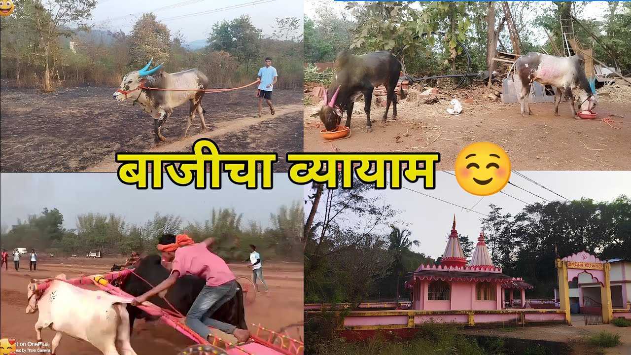 बाजीचा घेतलेला व्यायाम ❤️👑 | Marathi Vlogger |