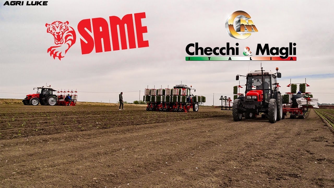 3x Same & Checchi e Magli | Texdrive Best | Dual 12 Gold