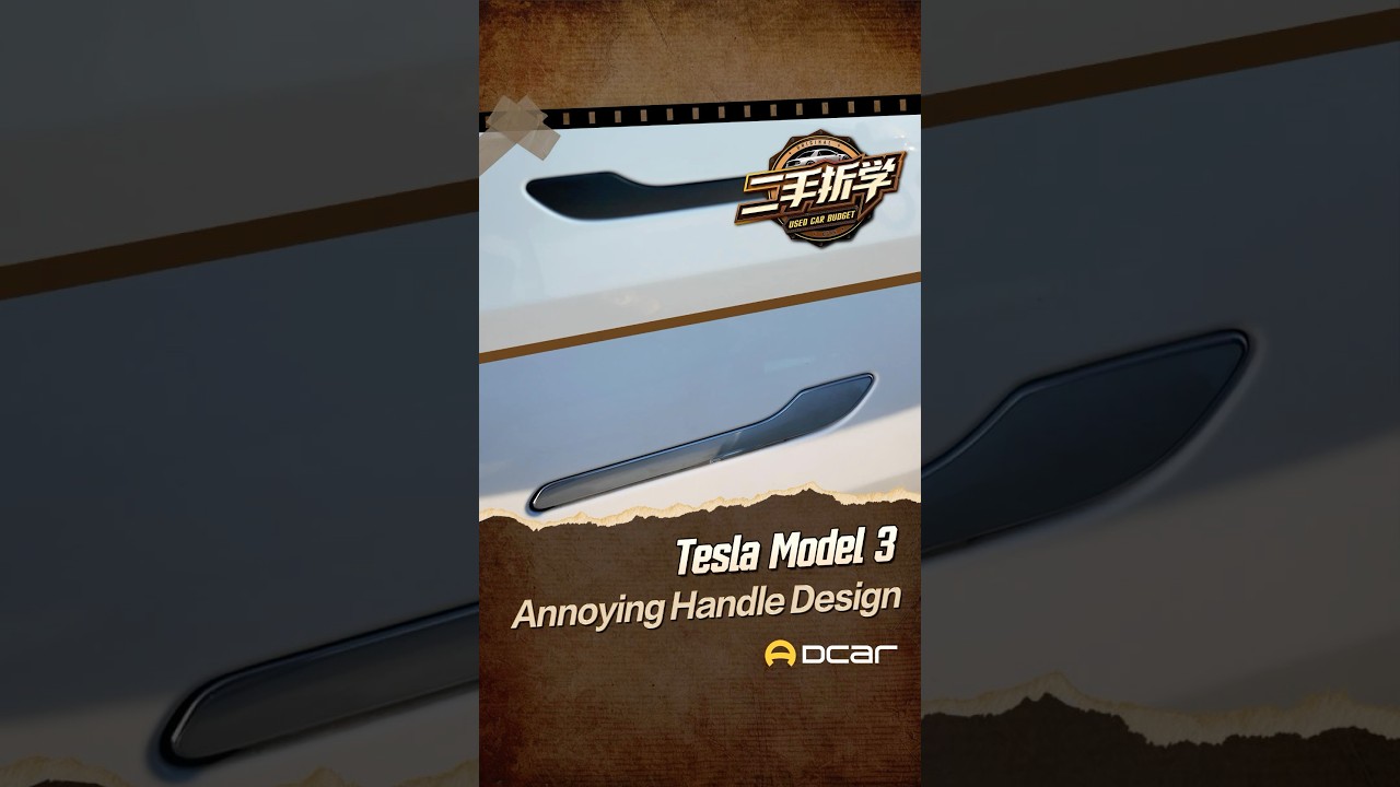 Tesla Model 3  Annoying Handle Design. #tesla #model3  #car  #carreview