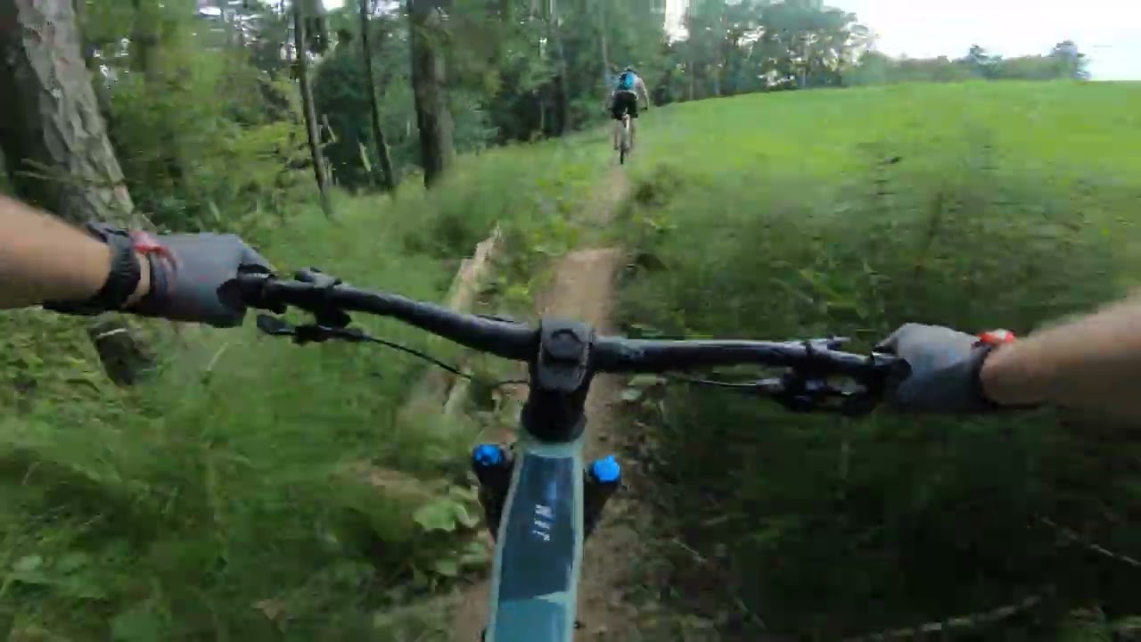 Vodemla trails - turn