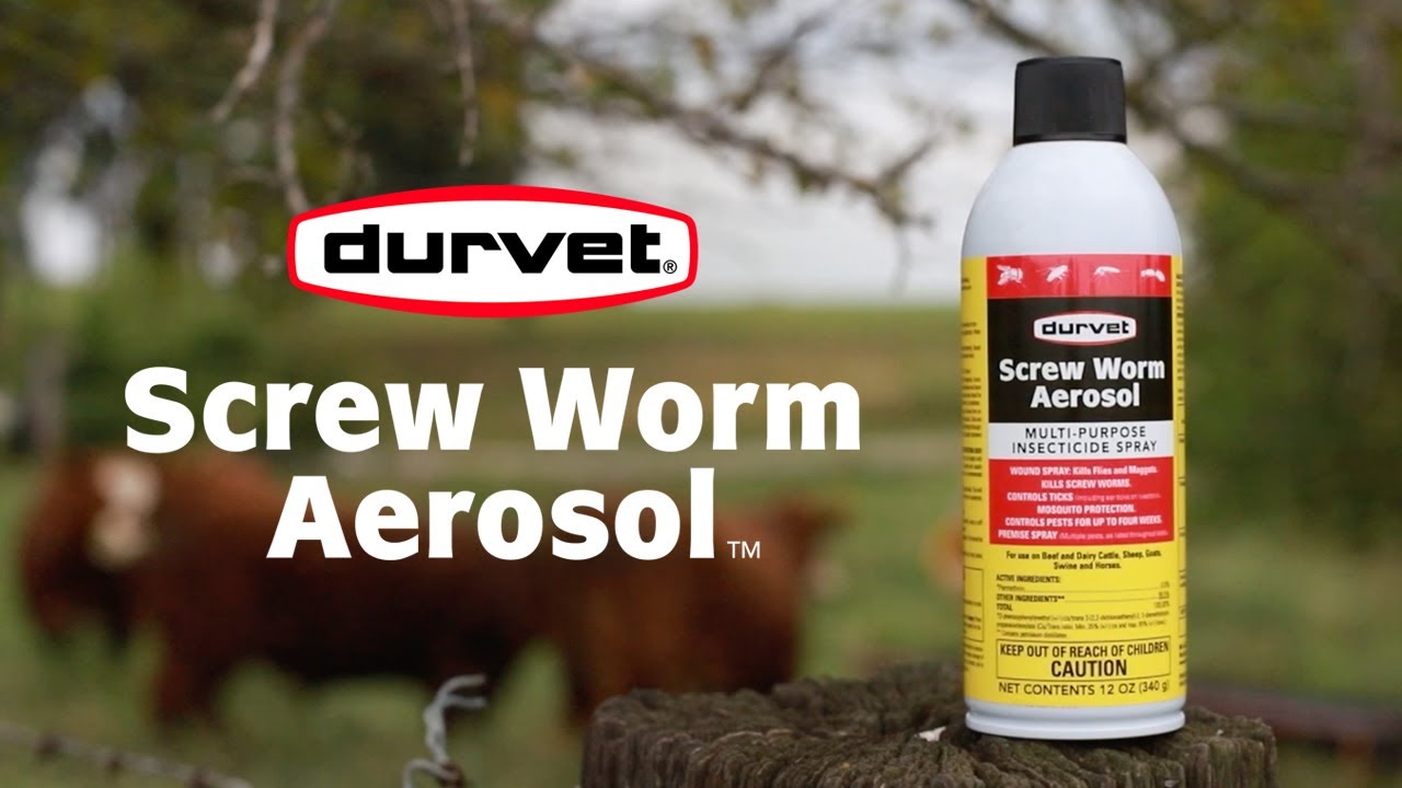 Keep Livestock Pest-Free with Durvet’s Screw Worm Aerosol™