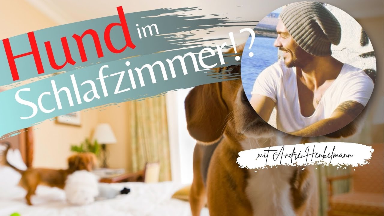 Hund & Schlafzimmer – Probleme & Lösungen! Profi-Tipps/Hundeerziehung!