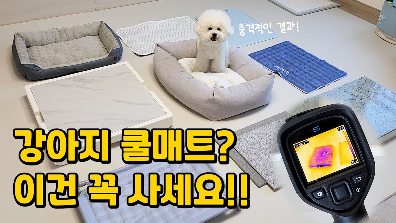 써보고 정말 만족한 강아지쿨매트 best 5 (50만원 써서 찾은 견생 최고의 쿨매트)