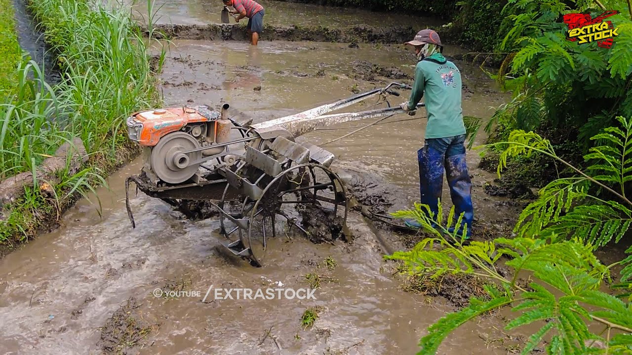 Traktor Sawah Zeva Garu Lahan Di Petak Sempit Terakhir
