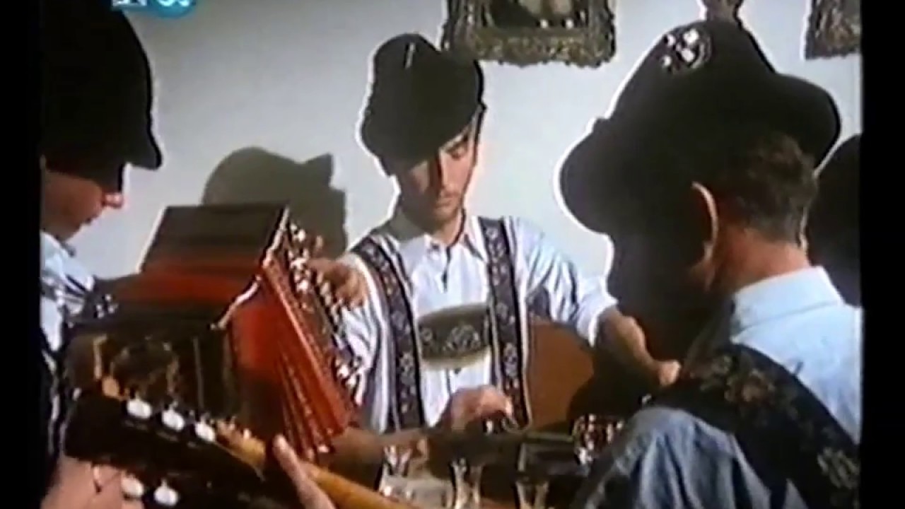 Duo Sebrich-Dreher - Wildenauer Polka (Musik im Werdenfelser Land 11)