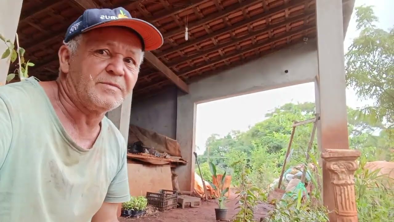 como fazer enxerto de jabuticaba.profisão do futuro