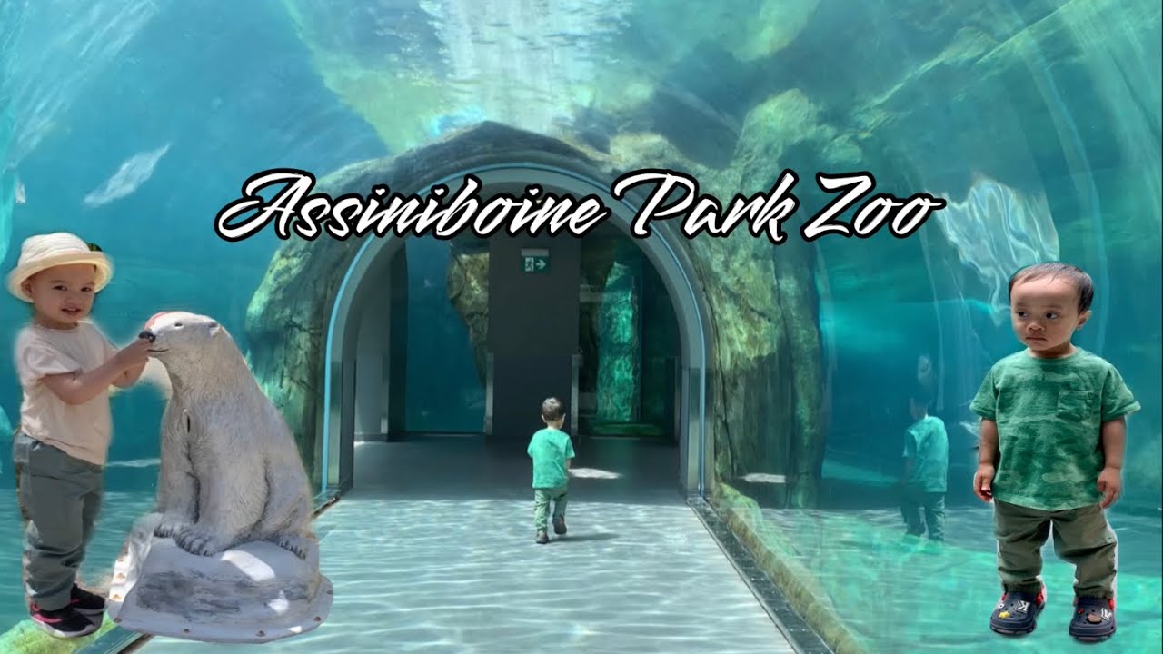 ASSINIBOINE PARK ZOO ‘22 | LIFE IN WINNIPEG