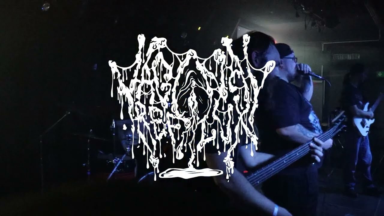 Vaginal Reflux - Smegma Steam Therapy (Live @ Dürer Kert)