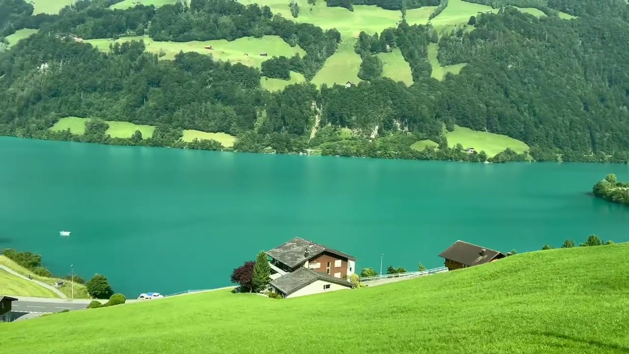 Interlaken to Lucern train #switzerland #train #nature 