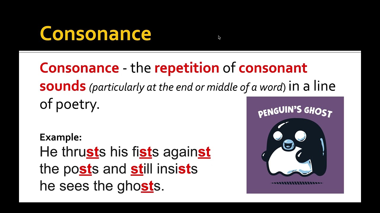 Assonance and Consonance Mini Lesson