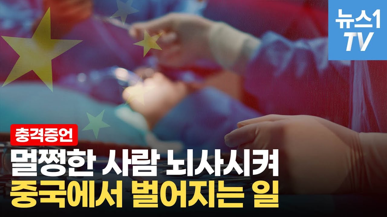 오징어게임 흥행으로 드러난 충격 진실…'패륜행위'로 매년 10억달러 버는 중국