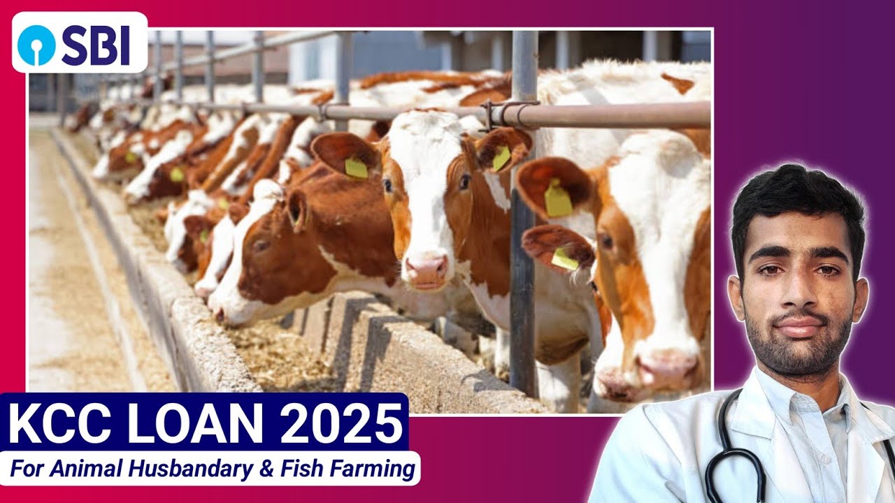 KCC Loan Scheme For Animal Husbandary & Fish Farming | Complete Detail✨️