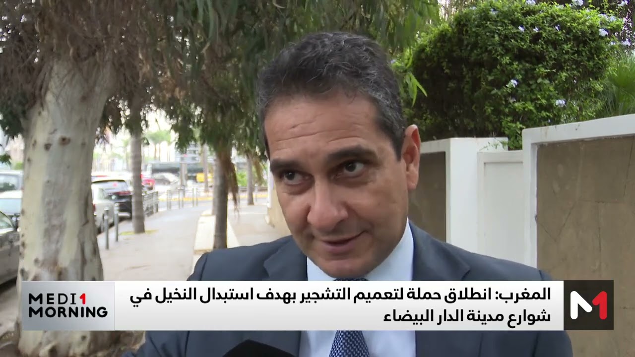 الدار البيضاء .. انطلاق عملية تعويض النخيل بالأشجار في الشوارع
