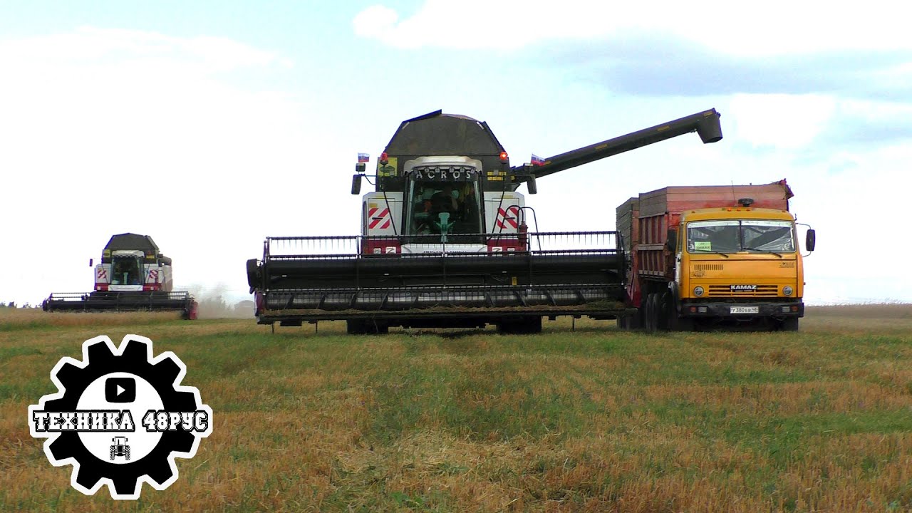 Уборочная - 2024. Комбайны Acros 595+ с универсальными жатками Float Stream 700. Липецкая область