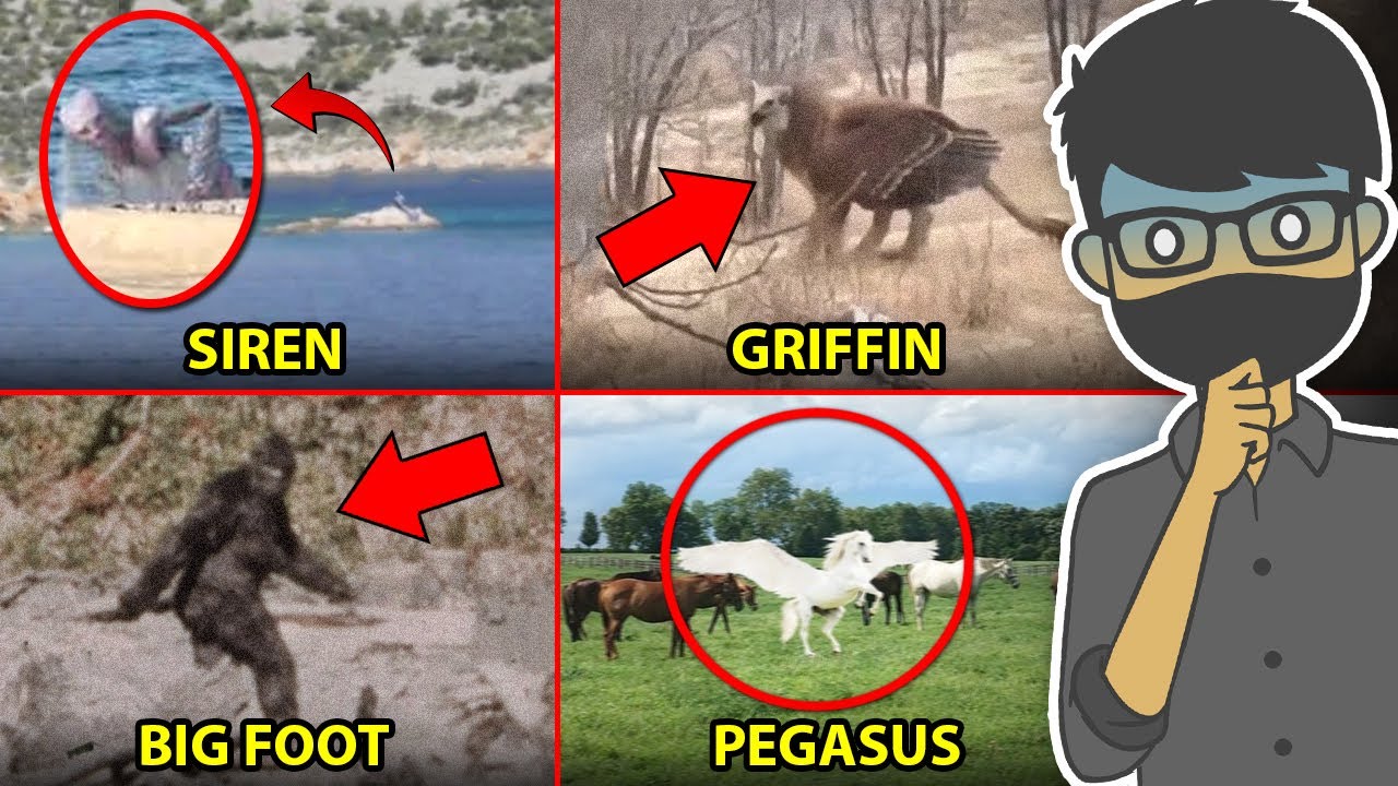BUKTI MAKHLUK MITOLOGI ADA DI DUNIA NYATA