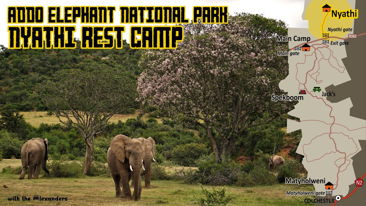Addo Elephant National Park: Nyathi Rest Camp