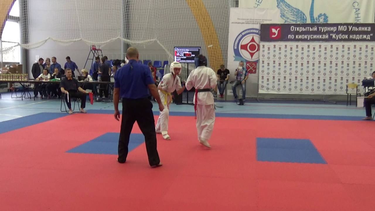 Атеми + фудошин