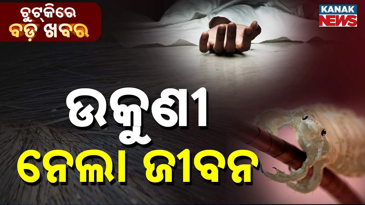 Chutkire Bada Khabar || 9th February 2026 || 10AM Digital Bulletin || Kanak News