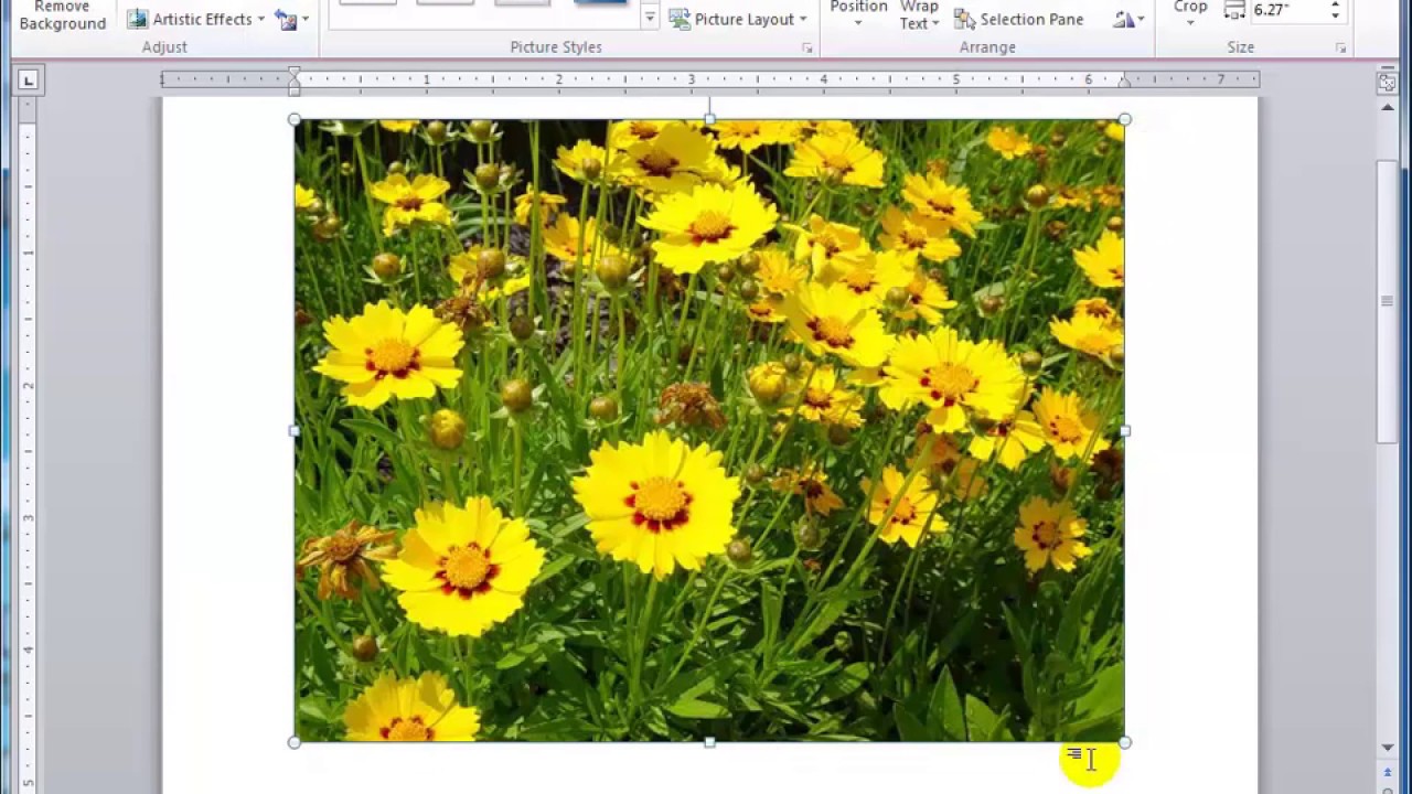 Basic computer course in marathi Lecture no 19 word