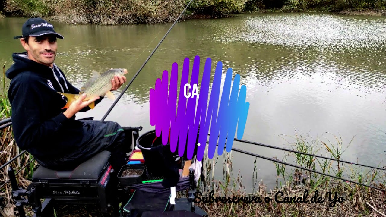Carpas e Gardons à francesa