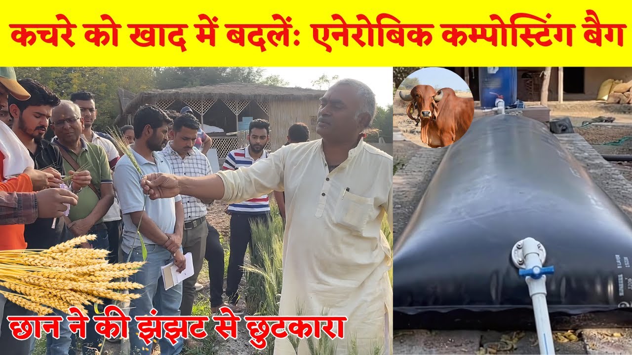 Advanced Jivamrit Composting Bag - एनेरोबिक कम्पोस्टिंग बैग