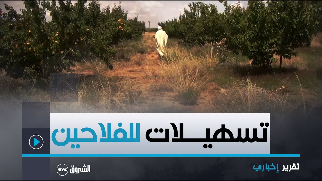 تمديد آجال تسوية أراضي الفلاحين إلى 15 جانفي  وزارة الفلاحة توجه تعليمة للولاة لإيجاد تسهيلات
